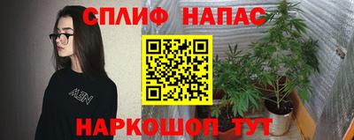 mix Кингисепп