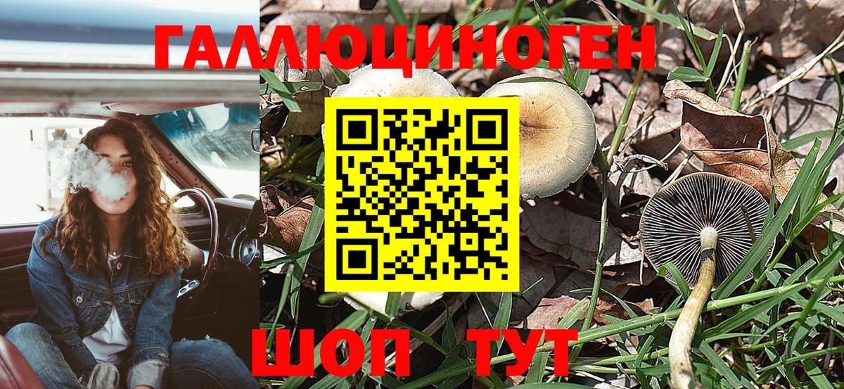 Псилоцибиновые грибы GOLDEN TEACHER  Вход с VPN  Клинцы 