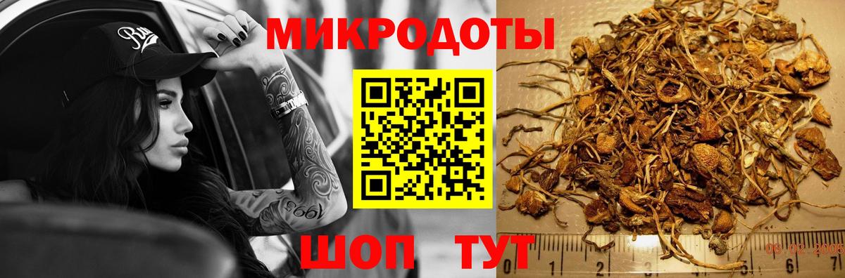 Псилоцибиновые грибы Cubensis Клинцы